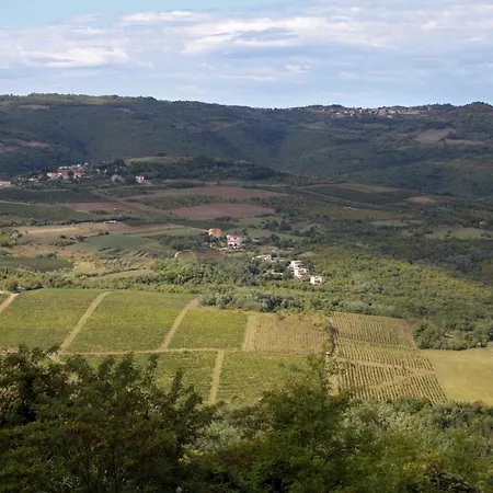 Apartment With A Swimming Pool - Bataji, Istria - Sredisnja Istra - 7069 Motovun