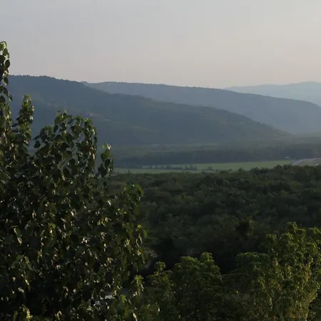 Apartment With A Swimming Pool - Bataji, Istria - Sredisnja Istra - 7069 Motovun